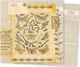 7 Gypsies-Conservatory-Mesofauna 12x12 Scrapbook Paper