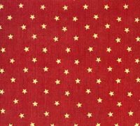 Paper Adventures-BlueJeanTeddy-Star Weave 12x12