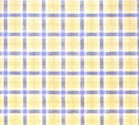 Paper Adventures-Gallery6-Polar Plaid 12x12 paper
