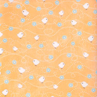 Sassafras- Orange apeel-Whirly Birds - 12x12 paper