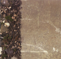 Cloud 9-Pathways - Side Border