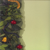 Cloud 9-Backyard - Side Border