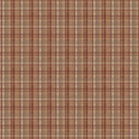 Karen Foster--Grad Plaid 12x12 paper