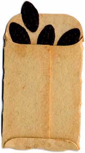 QuicKutz-seed packet - RS-0434